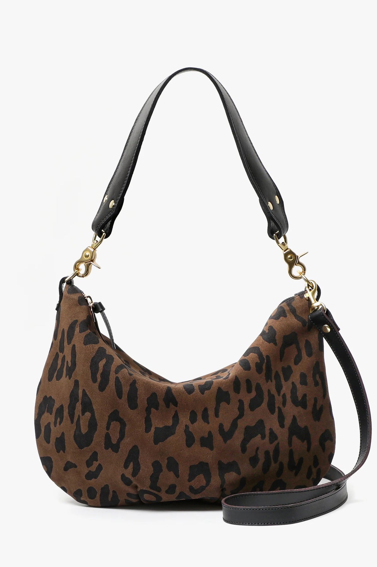 clare v. moyen messenger cocoa pablo cat