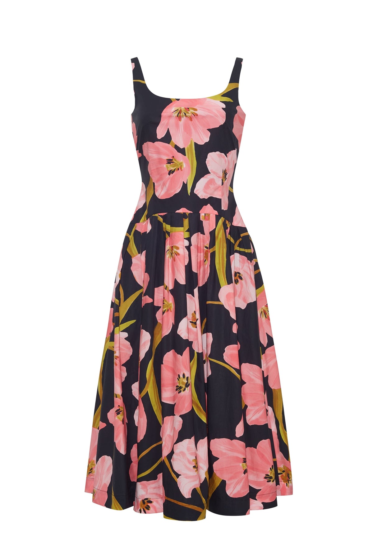 cara cara regio midi marais bloom black