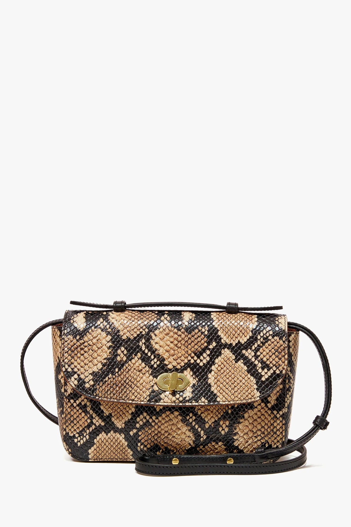 clare v. kathryn tan desert snake