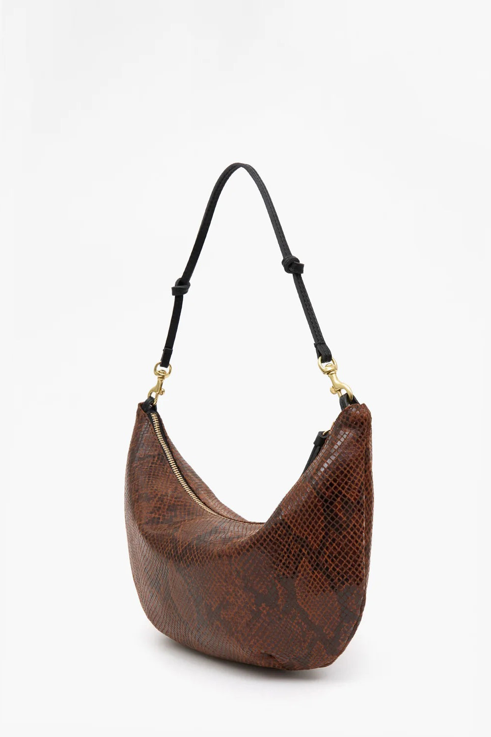 clare v. lune auburn python