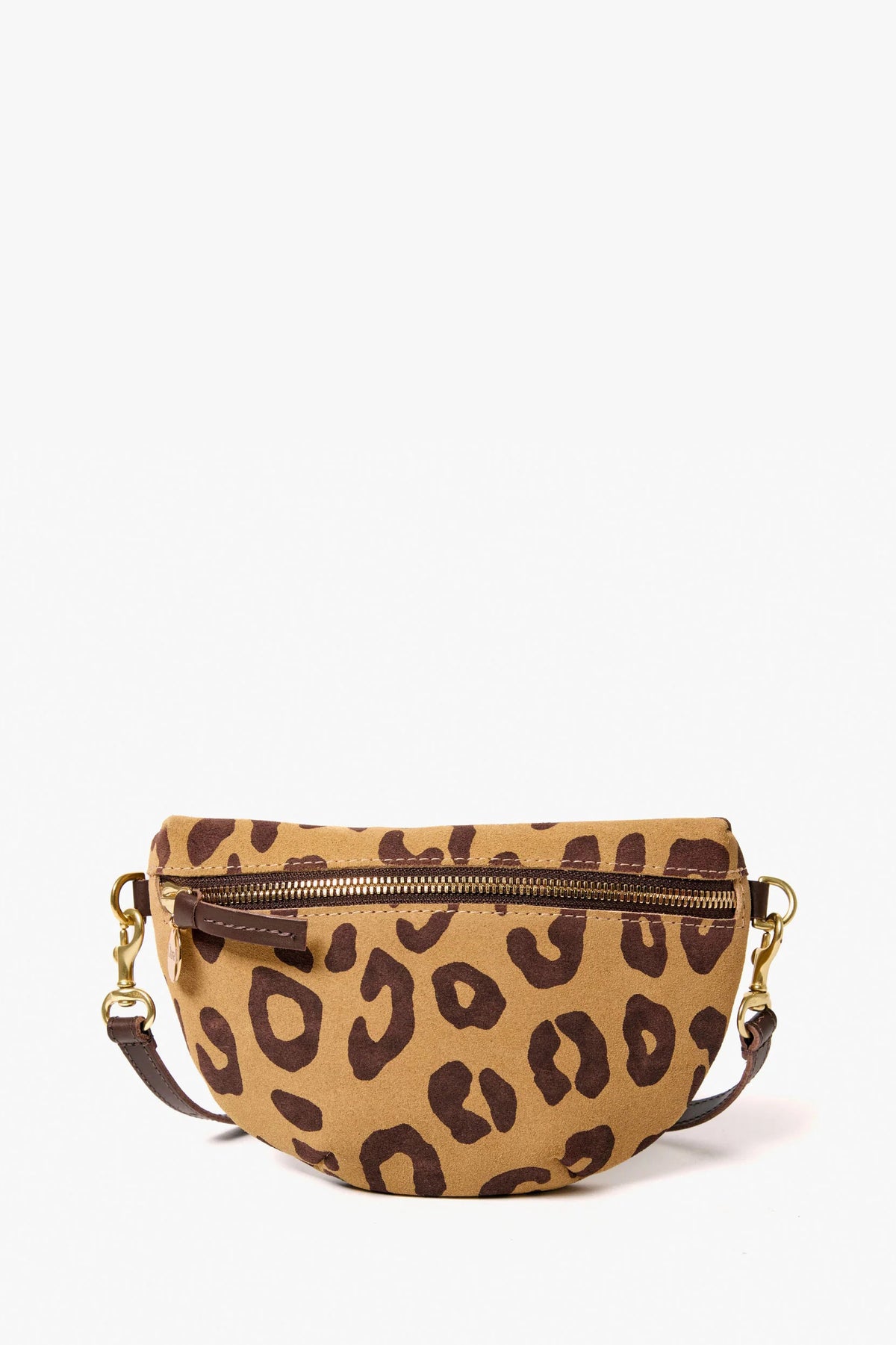 clare v. petite fanny lark and brown pablo cat