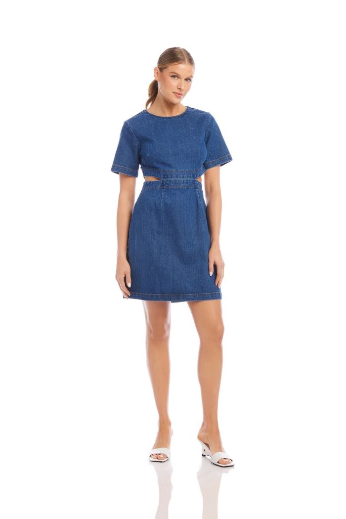 fifteen twenty remy dress denim 