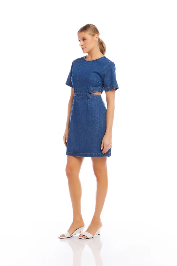 fifteen twenty remy dress denim 