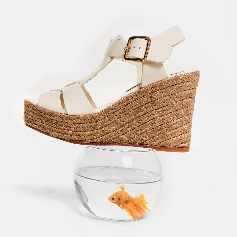 paloma barcelo alison | jody g.