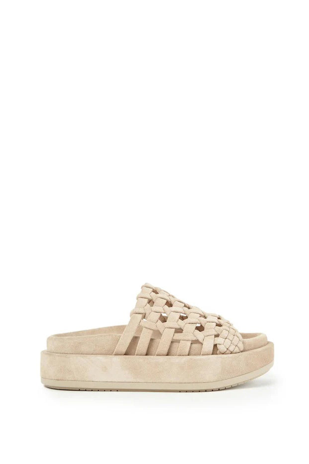24.5【新品】PALOMA BARCELO NOREDA 定価42900円 24-