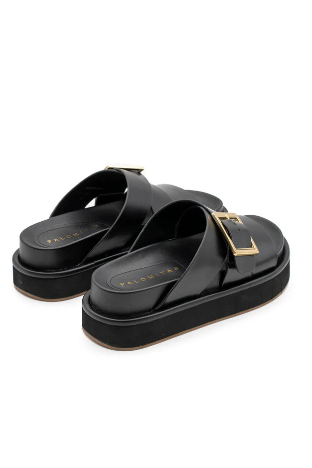 palomitas demi black