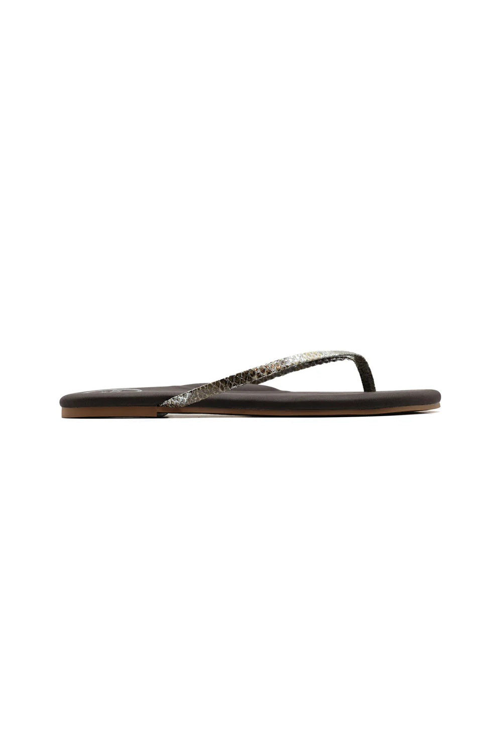 solei sea copa brown with lizard