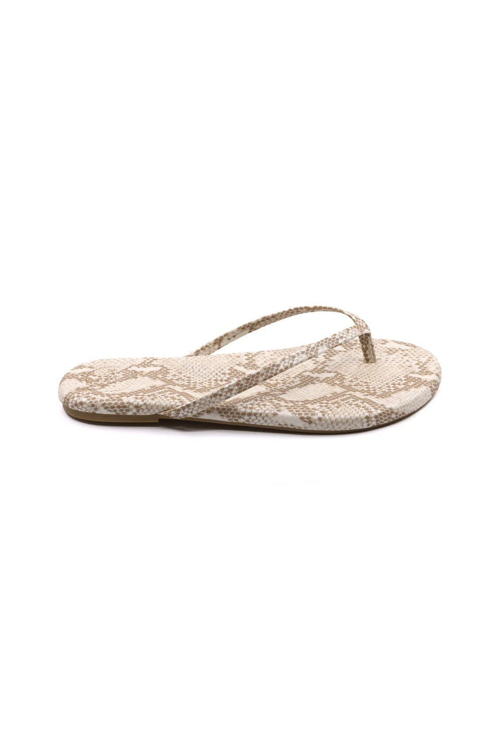 solei sea indie golden lizard