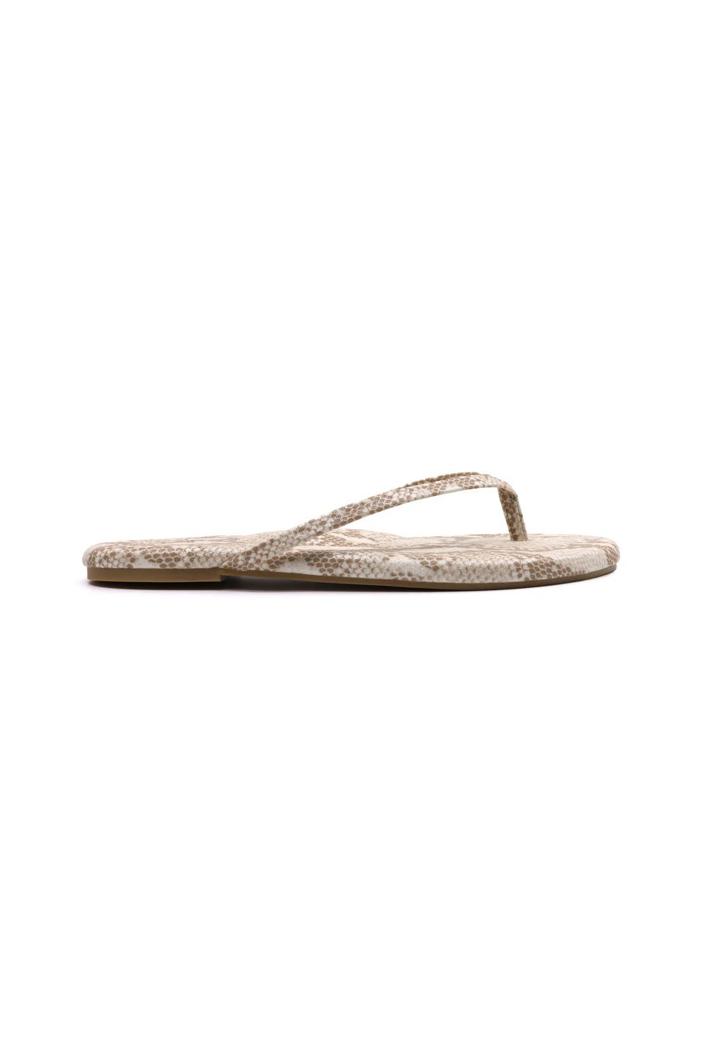 solei sea indie golden lizard